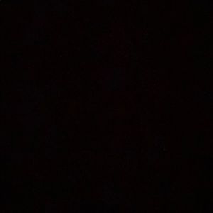 Meet your Posher, Madi